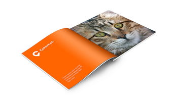 酷客美地企業形象設計 塑造品牌靈魂，引領市場潮流