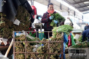 濟(jì)南憑雙證才能賣(mài)韭菜 出問(wèn)題直接找源頭，食用農(nóng)產(chǎn)品批發(fā)市場(chǎng)嚴(yán)把安全關(guān)